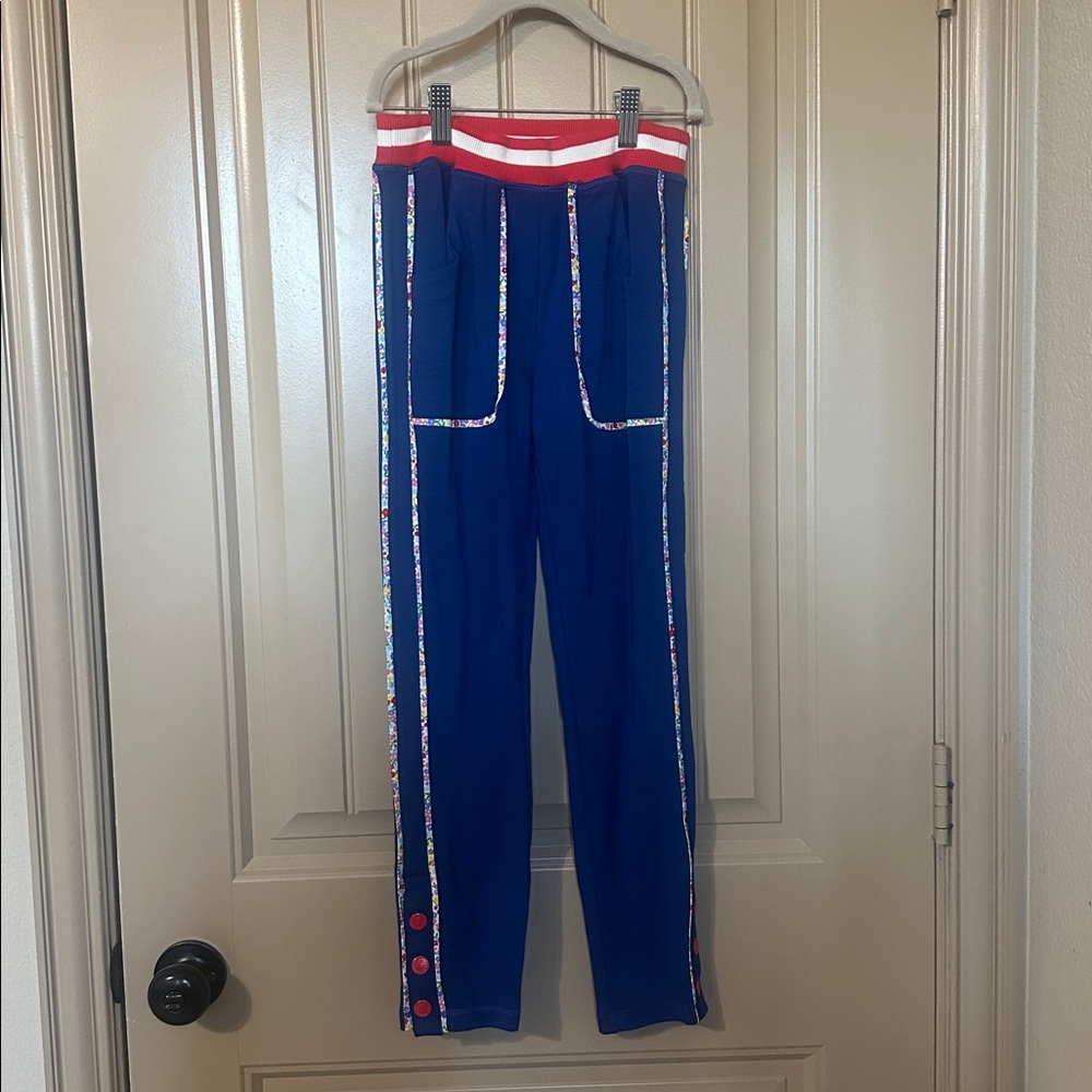 Finding Foxtale Blue Track Pants with Red & White Floral Trim Park Day size 8